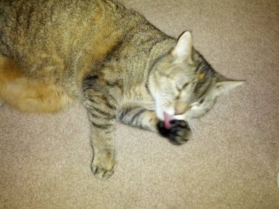 2013-07-25 22.30.28.jpg