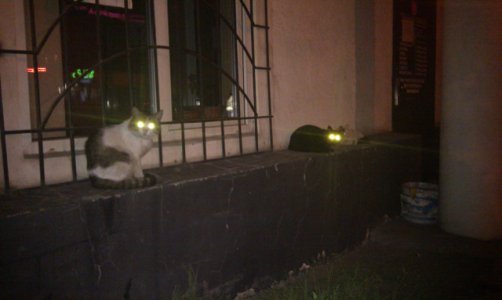 2011-06-16 22.41.00.jpg