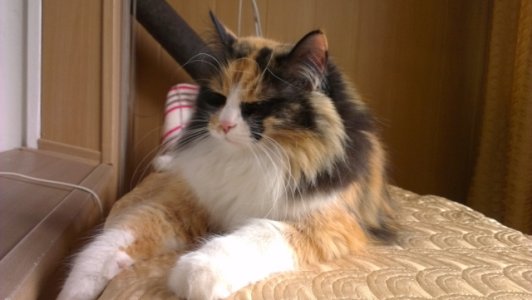 2012-04-14 18.34.24.jpg