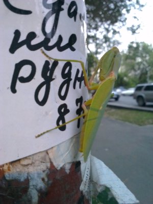 2012-08-01 20.16.53.jpg