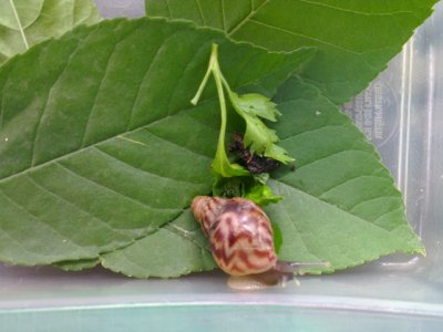 2013-08-24 18.05.59.jpg
