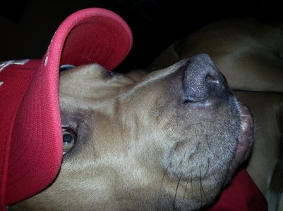 IMG_20130307_232916.jpg