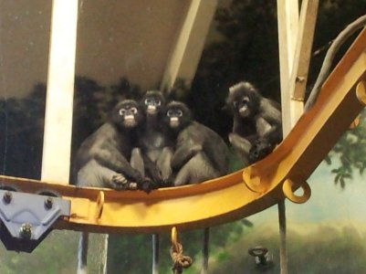 20130819_114619.jpg