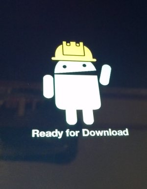 ReadyforDownload.jpg