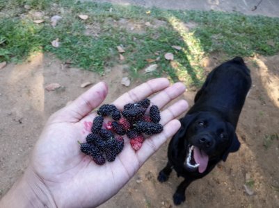 20131014_155951.jpg
