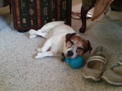 2013-09-07 12.13.50.jpg