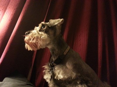 20130628_230454.jpg