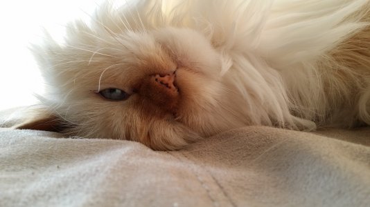 2013-10-14 17.52.25.jpg