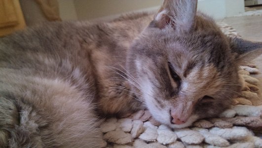 2013-05-04 18.49.59.jpg