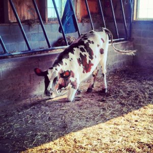 IMG_20131011_205434[1].jpg