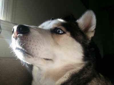 20130425_090250.jpg