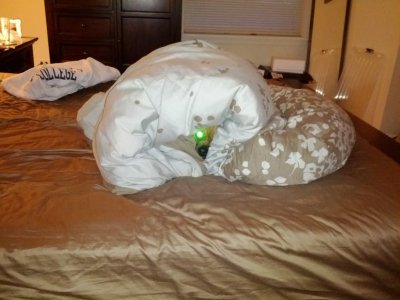 Gus Burrowed.jpg