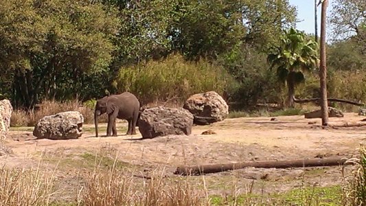 IMAG0080.jpg