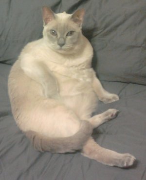 2011-01-16 23.25.59.jpg