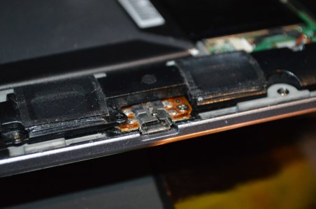 DSC_1081(comp).jpg