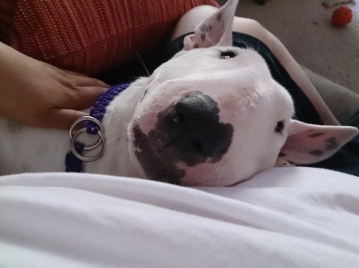 2013-09-01 16.59.50.jpg