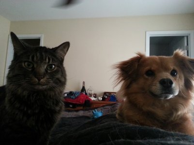 IMG_20130406_080313.jpg