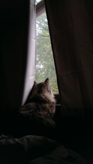 2013-09-18 08.16.58.jpg