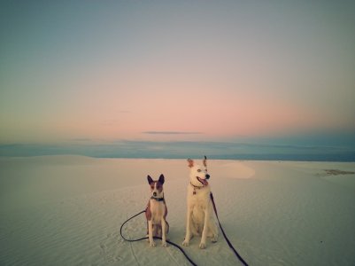 20130921_191119.jpg