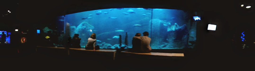 PANO_20130119_154254.jpg