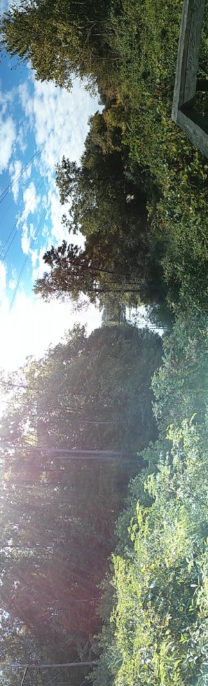 PANO_20131008_115450.jpg