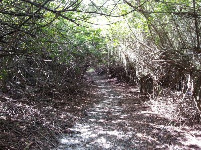 20130626_103927.jpg