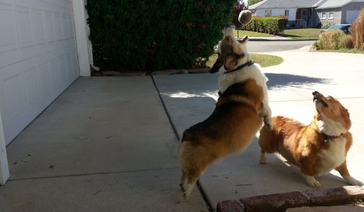 20121026_112516_10 - Copy.jpg