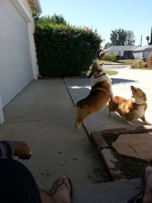 20121026_112516_10.jpg