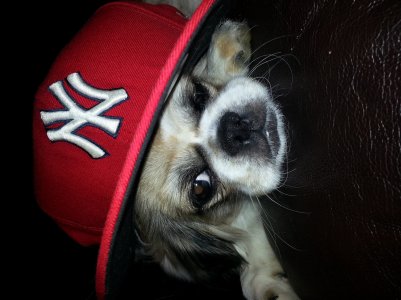 romeo2013-10-17.jpg