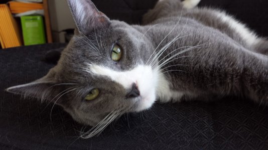 2013-05-04 16.27.50.jpg