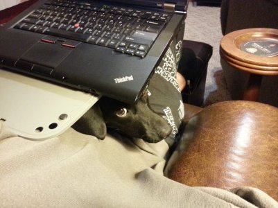 20130304_202633.jpg