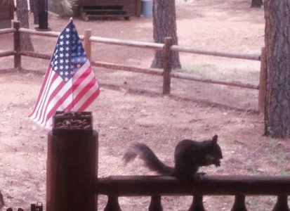 Happy4th.jpg