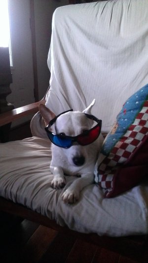 IMAG0520.jpg