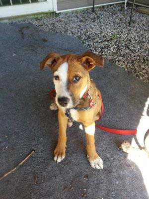 2012-09-16 11.37.43.jpg