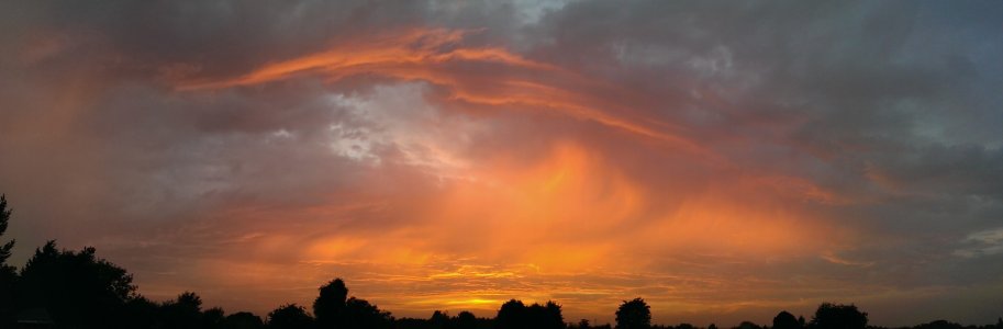 IMAG0727.jpg