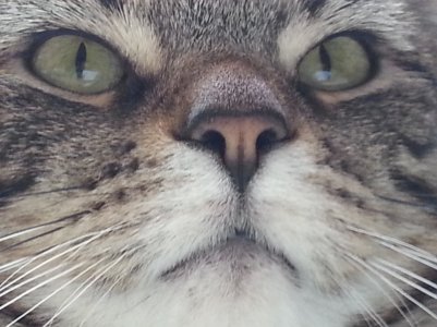 20130526_091310.jpg