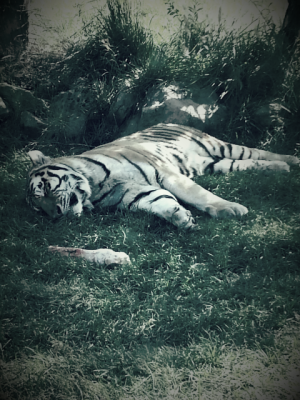 2013-10-10 13.28.53_resized.png