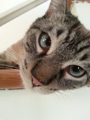 20130308_073531.jpg