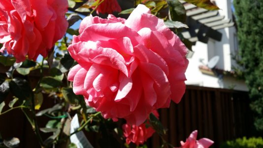 20131009_120242.jpg