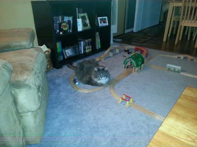 IMG_20131017_205156-2.jpg
