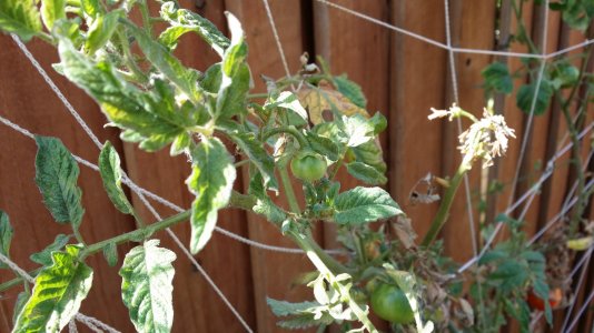 20131009_120426.jpg