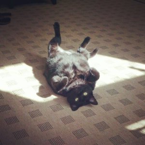 2012 05 07 00.jpg