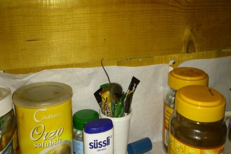 DSC_0066.jpg