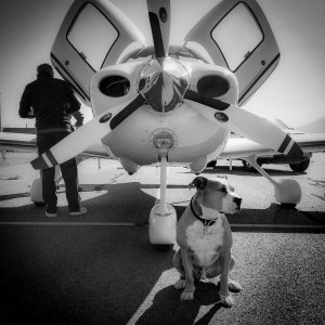 Ace_Plane_N3.jpg