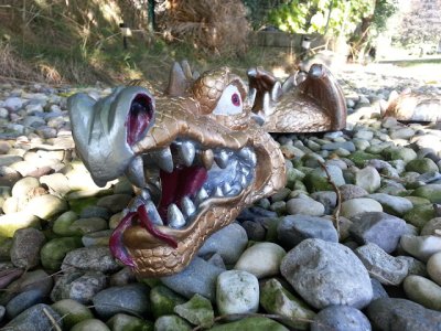 garden dragon.jpg