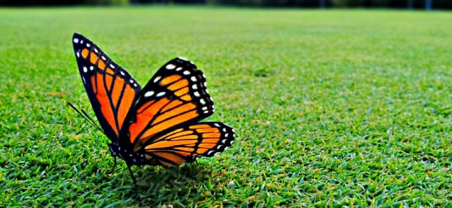 2013-09-17_07-22-02_HDR_20130917180844641_20131018154828263_20131018155119545.jpg