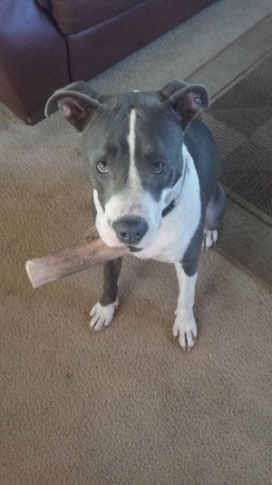 20130804_104739.jpg