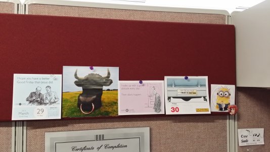 20131011_110100.jpg