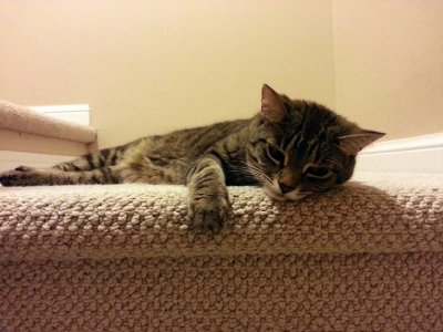 20130619_210719_1.jpg