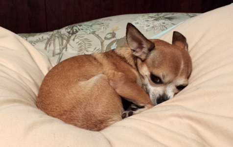 2013-05-24 21.44.26.jpg